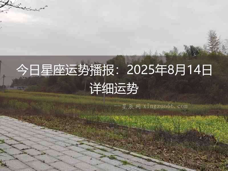今日星座運勢播報：2025年8月14日詳細運勢