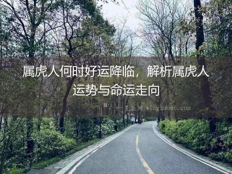 屬虎人何時好運降臨，解析屬虎人運勢與命運走向