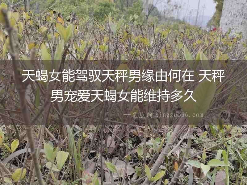 天蝎女能駕馭天秤男緣由何在 天秤男寵愛天蝎女能維持多久