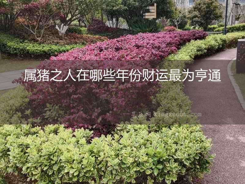 屬豬之人在哪些年份財運最為亨通