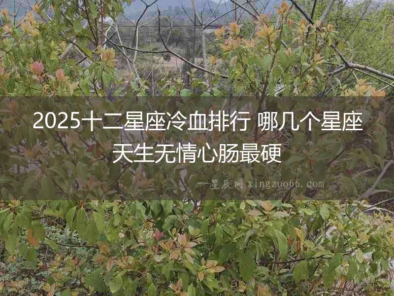 2025十二星座冷血排行 哪幾個星座天生無情心腸最硬