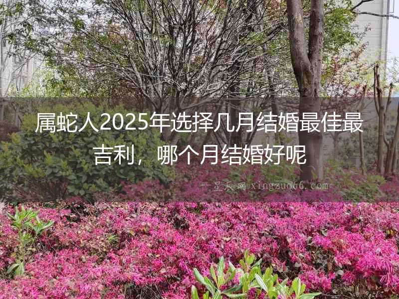屬蛇人2025年選擇幾月結婚最佳最吉利，哪個月結婚好呢