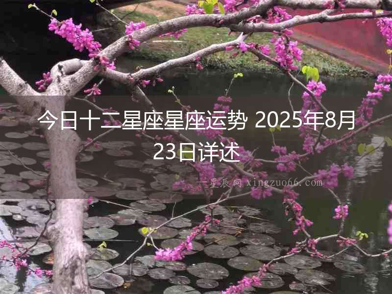 今日十二星座星座運勢 2025年8月23日詳述