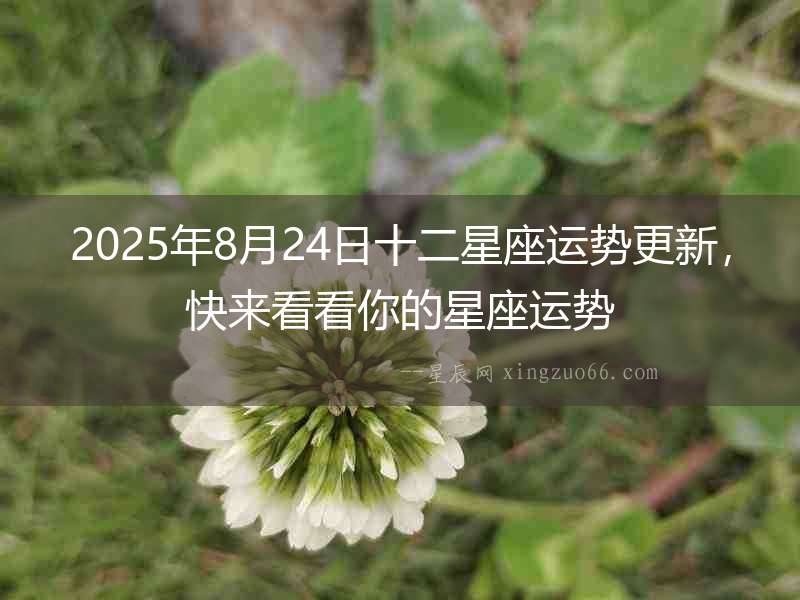 2025年8月24日十二星座運勢更新，快來看看你的星座運勢
