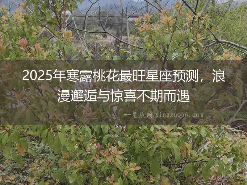 2025年寒露桃花最旺星座預測，浪漫邂逅與驚喜不期而遇
