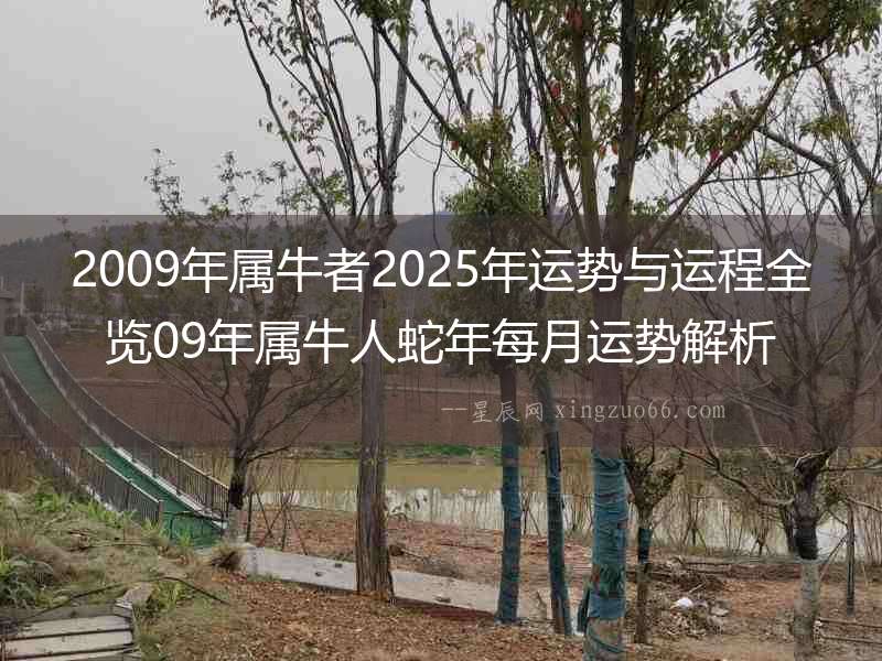 2009年屬牛者2025年運勢與運程全覽09年屬牛人蛇年每月運勢解析