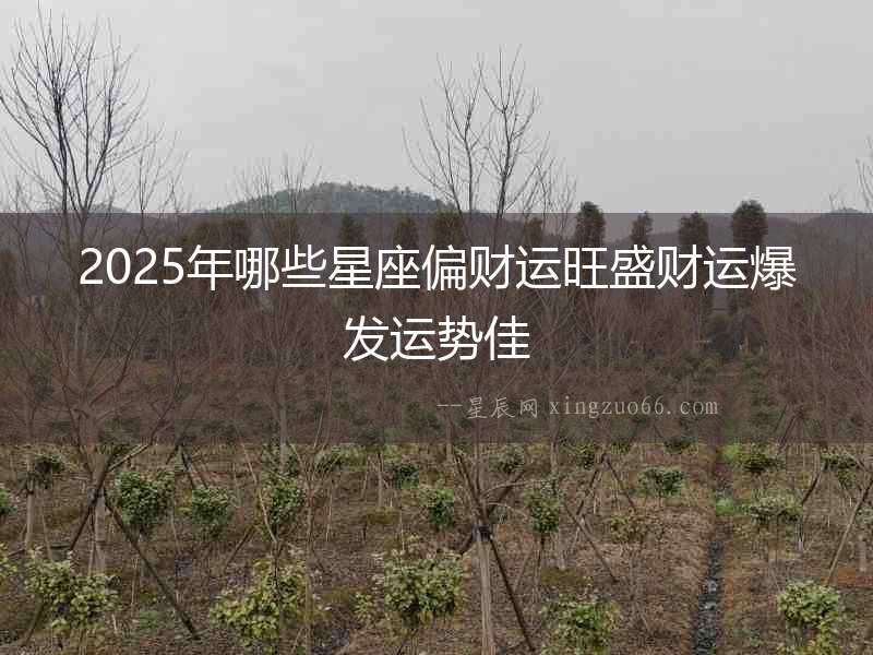 2025年哪些星座偏財(cái)運(yùn)旺盛財(cái)運(yùn)爆發(fā)運(yùn)勢(shì)佳