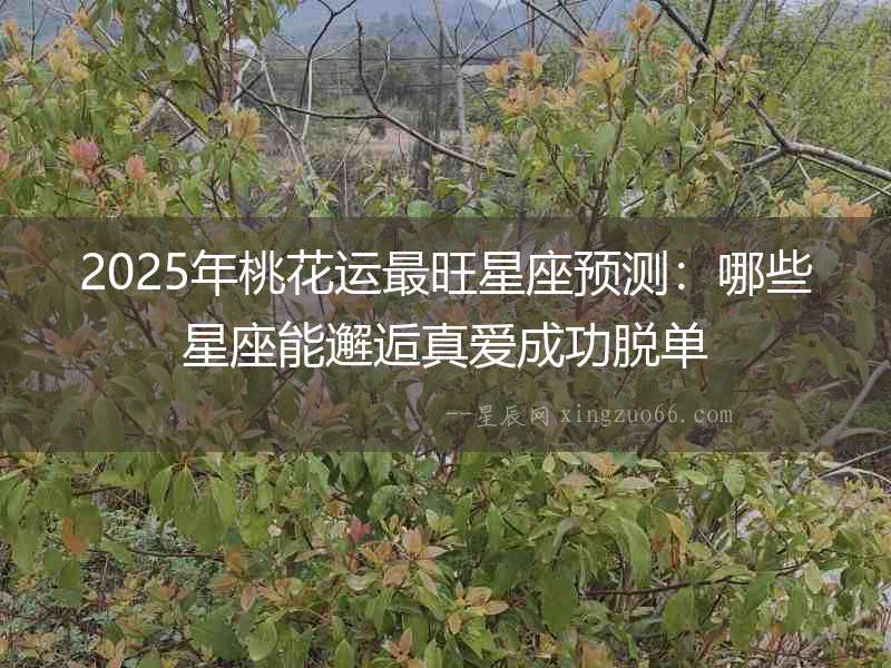 2025年桃花運(yùn)最旺星座預(yù)測(cè)：哪些星座能邂逅真愛(ài)成功脫單