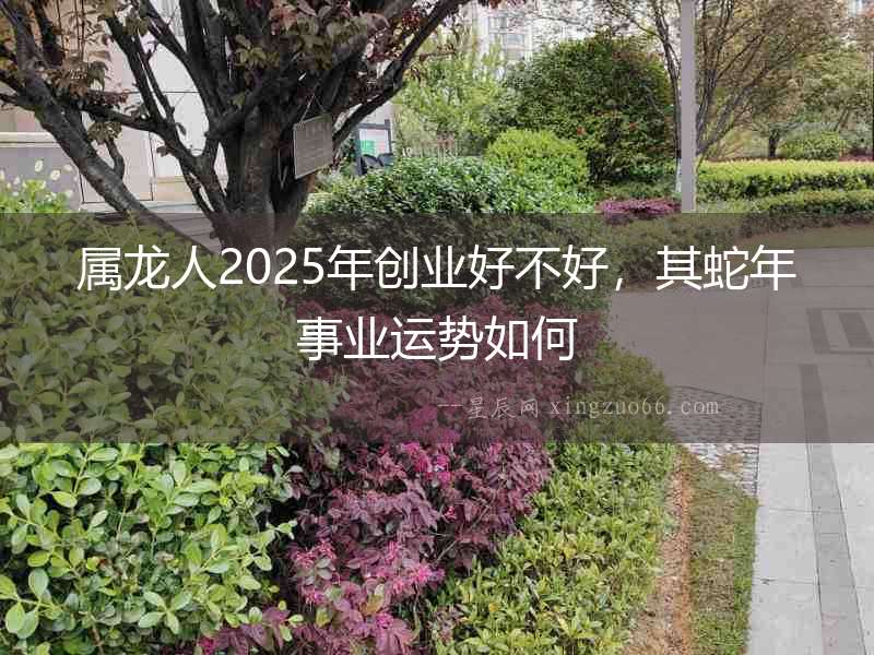 屬龍人2025年創業好不好，其蛇年事業運勢如何