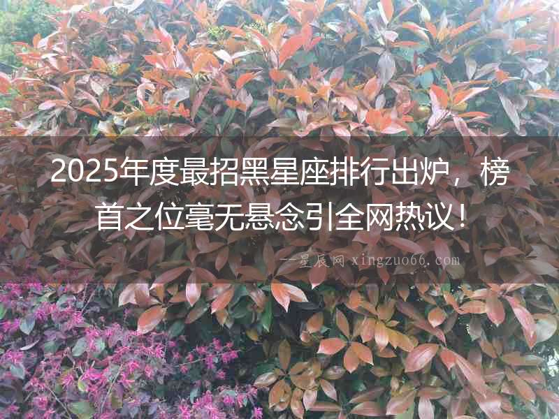2025年度最招黑星座排行出爐，榜首之位毫無懸念引全網熱議！