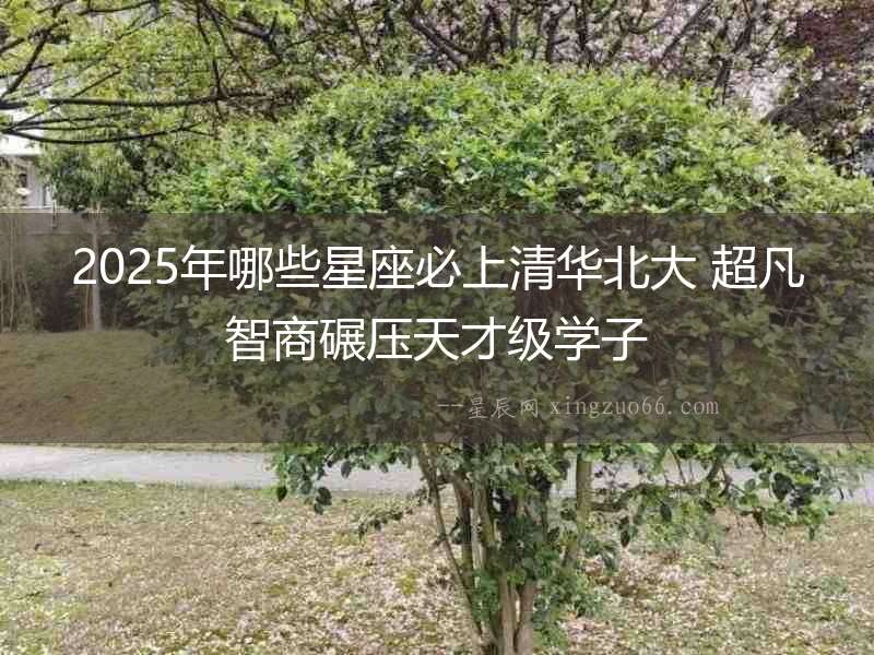2025年哪些星座必上清華北大 超凡智商碾壓天才級(jí)學(xué)子