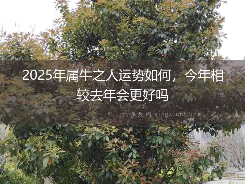 2025年屬牛之人運勢如何，今年相較去年會更好嗎