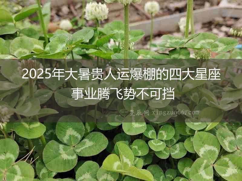 2025年大暑貴人運爆棚的四大星座 事業騰飛勢不可擋