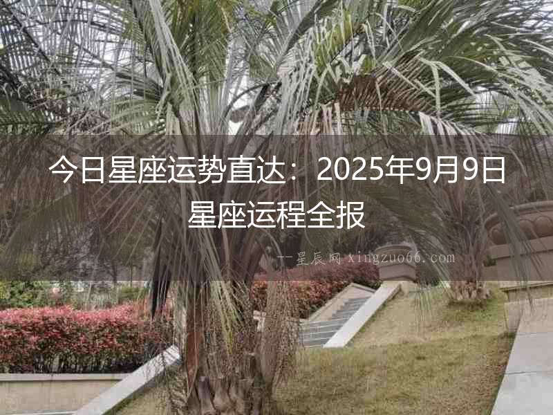 今日星座運勢直達：2025年9月9日星座運程全報