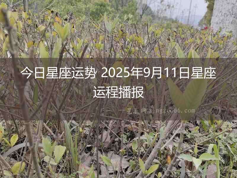 今日星座運勢 2025年9月11日星座運程播報