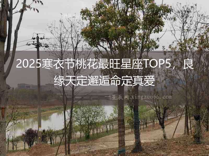 2025寒衣節桃花最旺星座TOP5，良緣天定邂逅命定真愛
