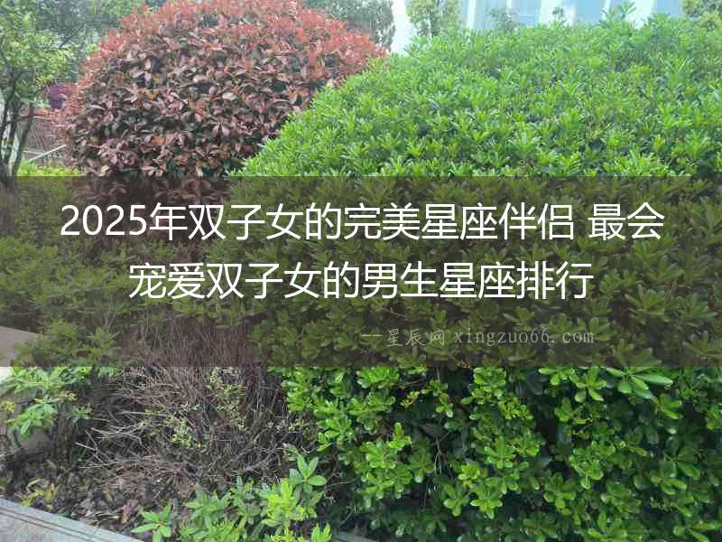 2025年雙子女的完美星座伴侶 最會寵愛雙子女的男生星座排行