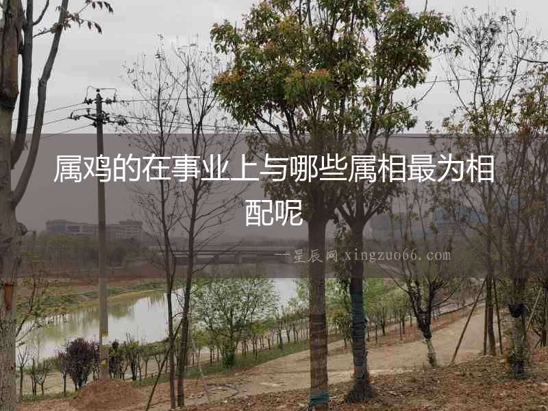 屬雞的在事業上與哪些屬相最為相配呢