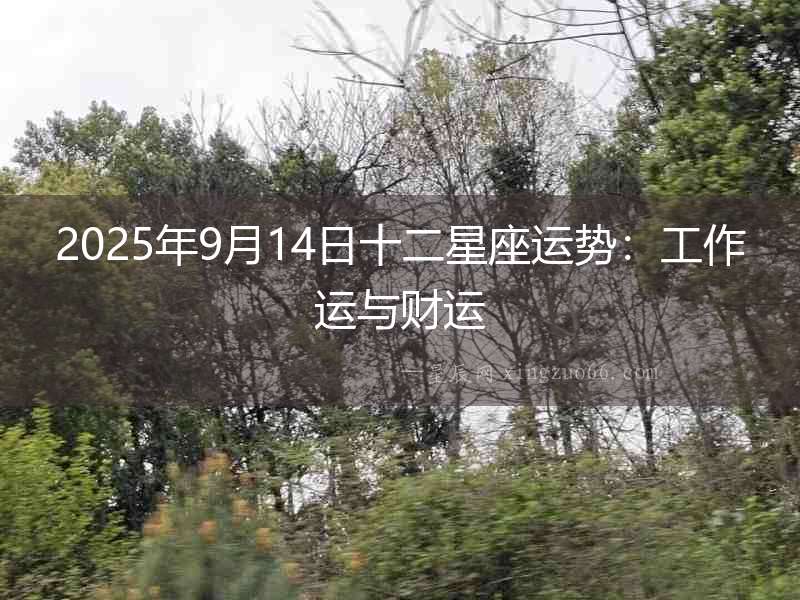 2025年9月14日十二星座運勢：工作運與財運