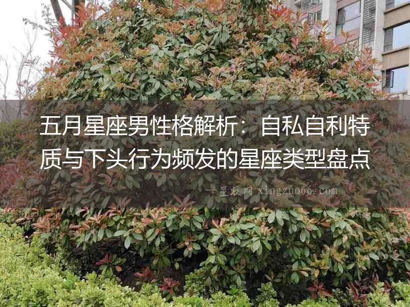 五月星座男性格解析：自私自利特質與下頭行為頻發的星座類型盤點