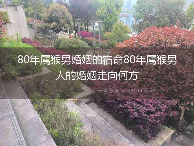 80年屬猴男婚姻的宿命80年屬猴男人的婚姻走向何方