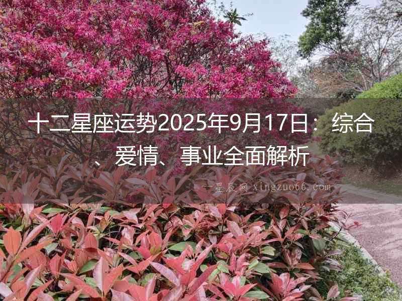 十二星座運勢2025年9月17日：綜合、愛情、事業全面解析