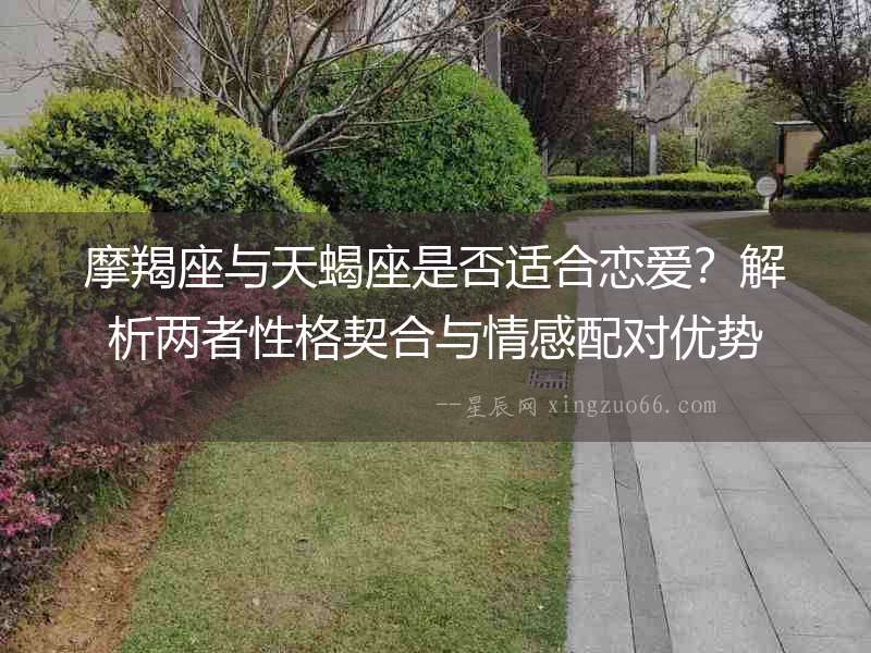 摩羯座與天蝎座是否適合戀愛？解析兩者性格契合與情感配對優(yōu)勢