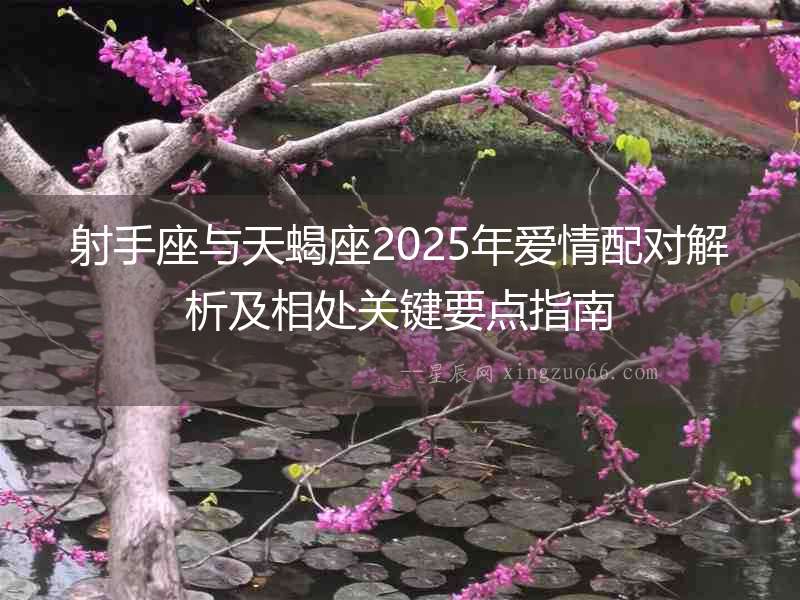 射手座與天蝎座2025年愛情配對解析及相處關鍵要點指南
