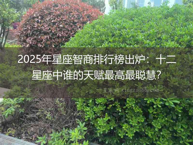 2025年星座智商排行榜出爐：十二星座中誰的天賦最高最聰慧？