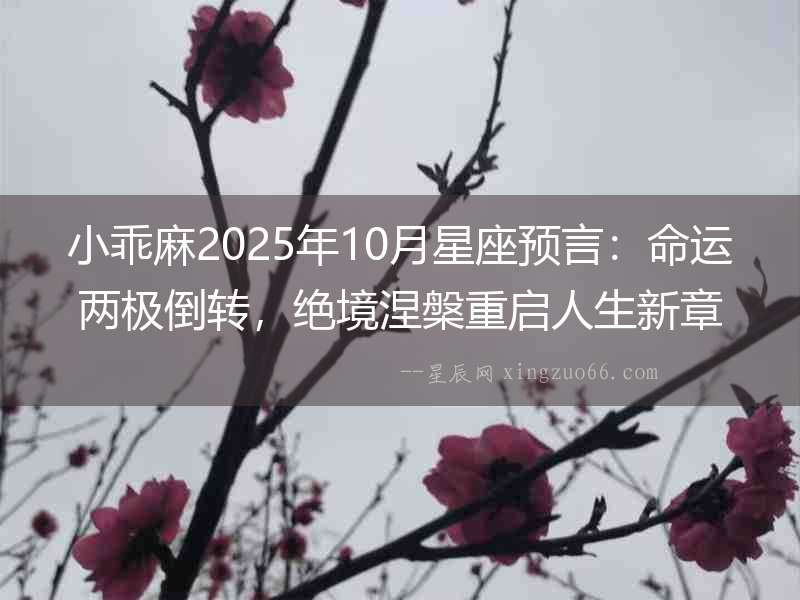 小乖麻2025年10月星座預言：命運兩極倒轉，絕境涅槃重啟人生新章