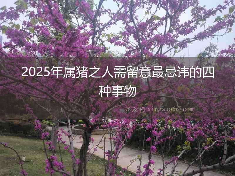 2025年屬豬之人需留意最忌諱的四種事物