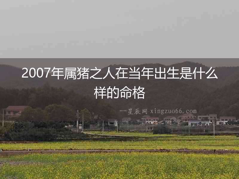 2007年屬豬之人在當年出生是什么樣的命格