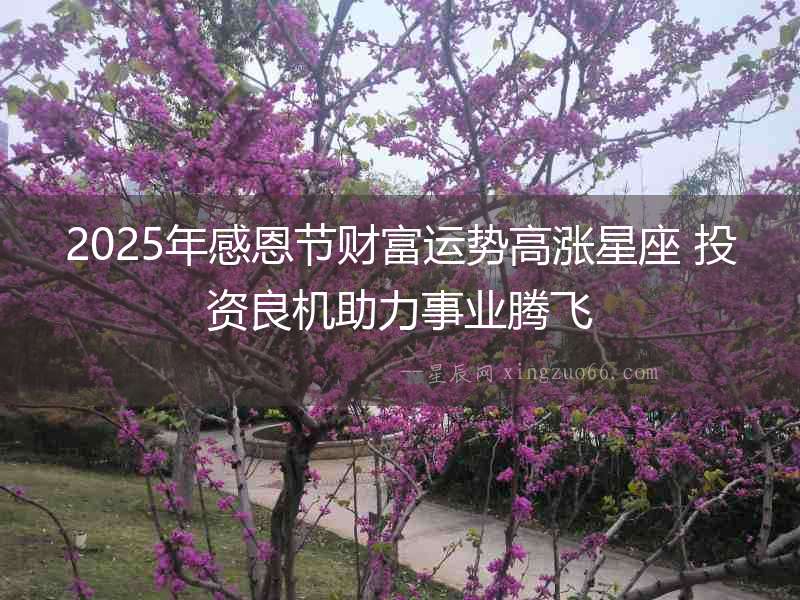 2025年感恩節財富運勢高漲星座 投資良機助力事業騰飛