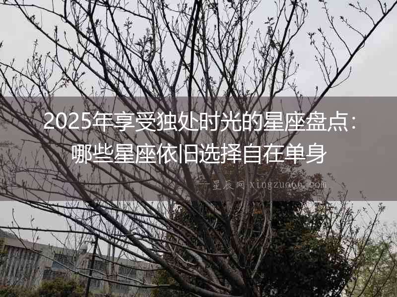 2025年享受獨處時光的星座盤點：哪些星座依舊選擇自在單身