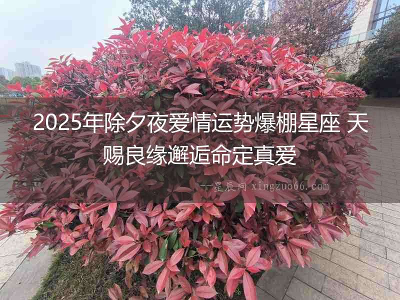 2025年除夕夜愛情運勢爆棚星座 天賜良緣邂逅命定真愛