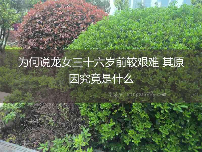 為何說龍女三十六歲前較艱難 其原因究竟是什么