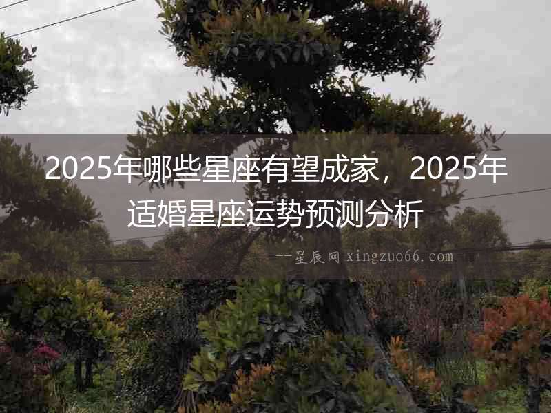 2025年哪些星座有望成家，2025年適婚星座運勢預測分析