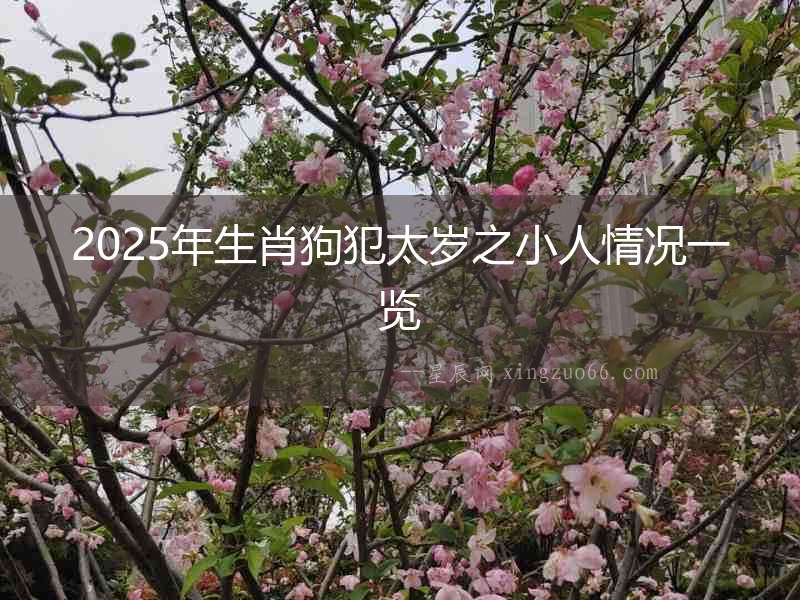 2025年生肖狗犯太歲之小人情況一覽
