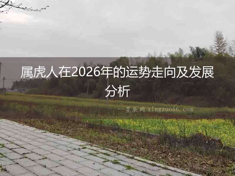 屬虎人在2026年的運(yùn)勢(shì)走向及發(fā)展分析