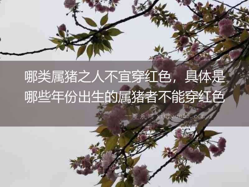 哪類屬豬之人不宜穿紅色，具體是哪些年份出生的屬豬者不能穿紅色