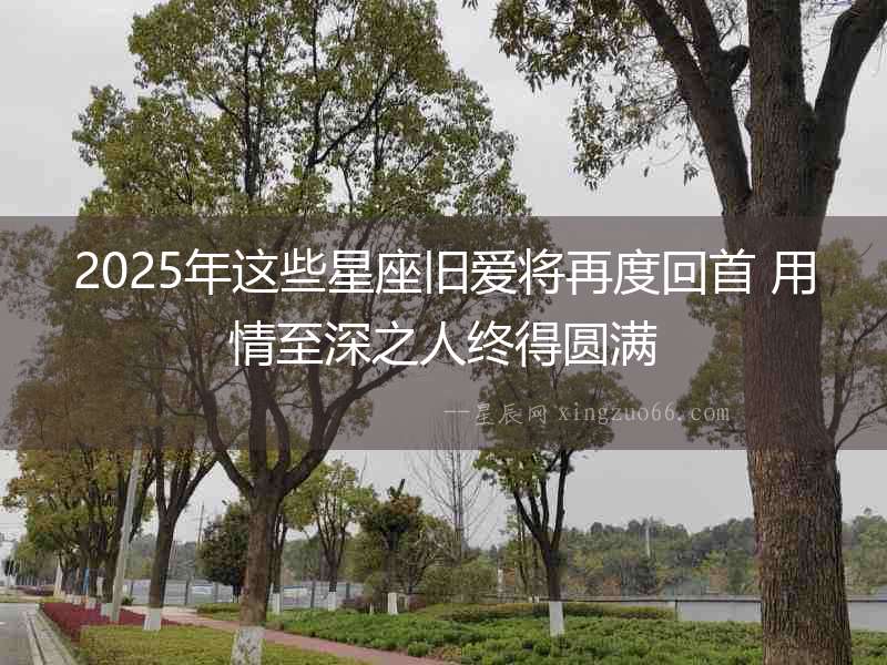 2025年這些星座舊愛將再度回首 用情至深之人終得圓滿