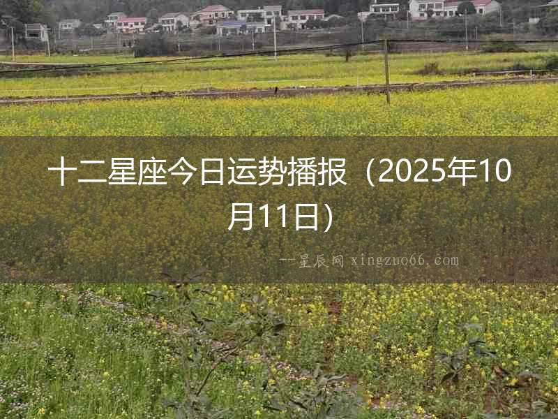 十二星座今日運勢播報（2025年10月11日）