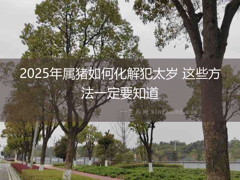 2025年屬豬如何化解犯太歲 這些方法一定要知道