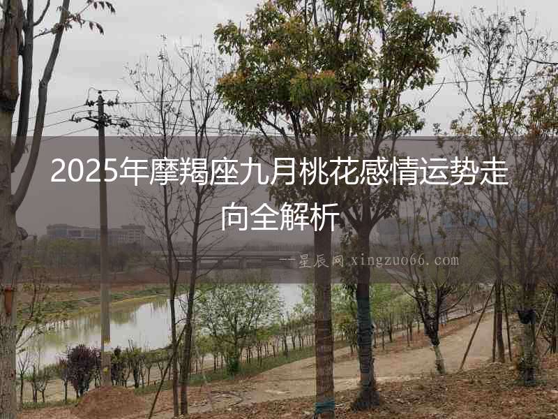 2025年摩羯座九月桃花感情運(yùn)勢(shì)走向全解析
