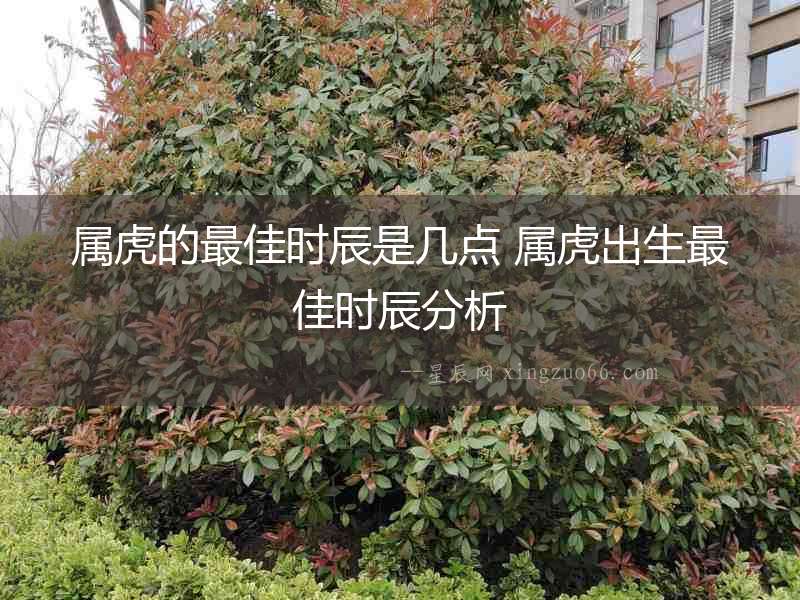 屬虎的最佳時(shí)辰是幾點(diǎn) 屬虎出生最佳時(shí)辰分析
