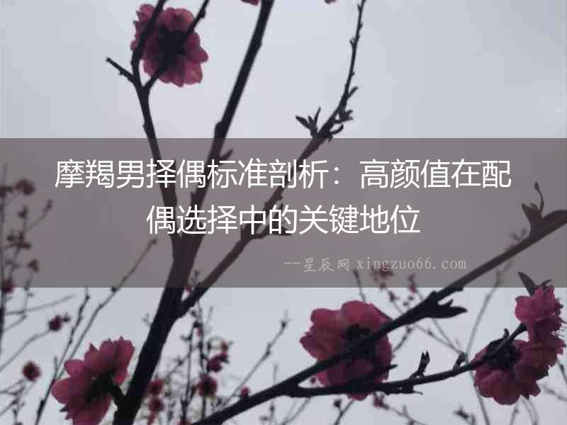 摩羯男擇偶標(biāo)準(zhǔn)剖析：高顏值在配偶選擇中的關(guān)鍵地位