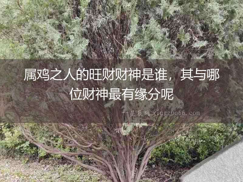 屬雞之人的旺財(cái)財(cái)神是誰，其與哪位財(cái)神最有緣分呢