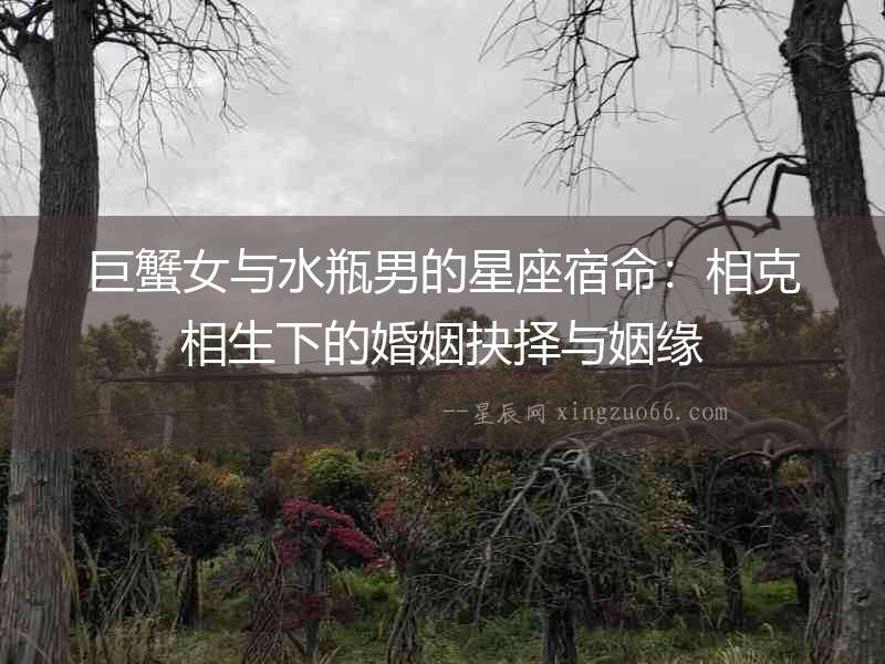 巨蟹女與水瓶男的星座宿命：相克相生下的婚姻抉擇與姻緣