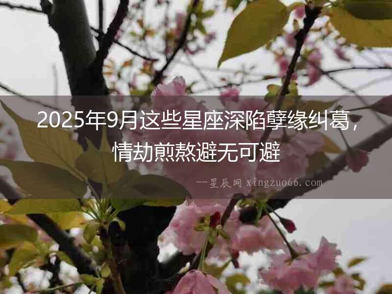 2025年9月這些星座深陷孽緣糾葛，情劫煎熬避無可避