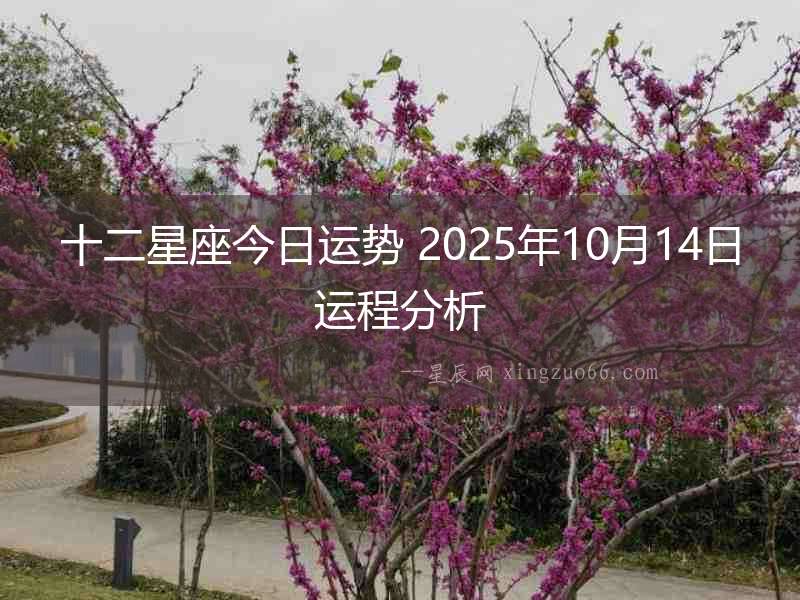 十二星座今日運(yùn)勢(shì) 2025年10月14日運(yùn)程分析